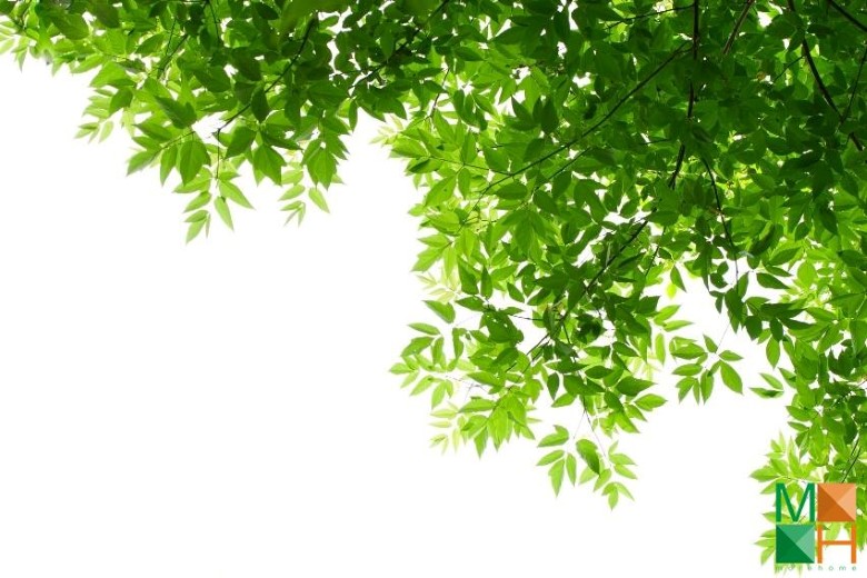 Tranh dán tường Hàn Quốc 3d khổ lớn tại Hà Nội NA - 072